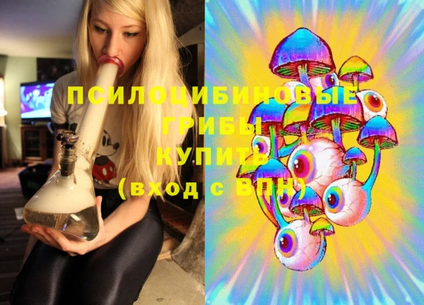Альфа ПВП Лиски